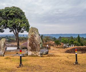 Mawphlang Sacred Forest: Where 1,000 Years Of Faith Protects Nature's Cathedral